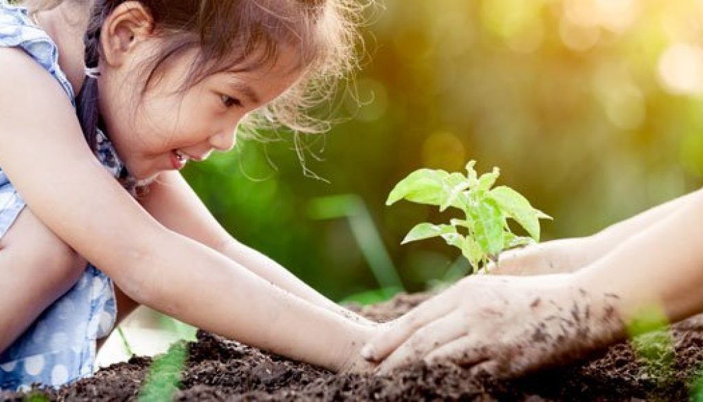 Atividades sobre meio ambiente