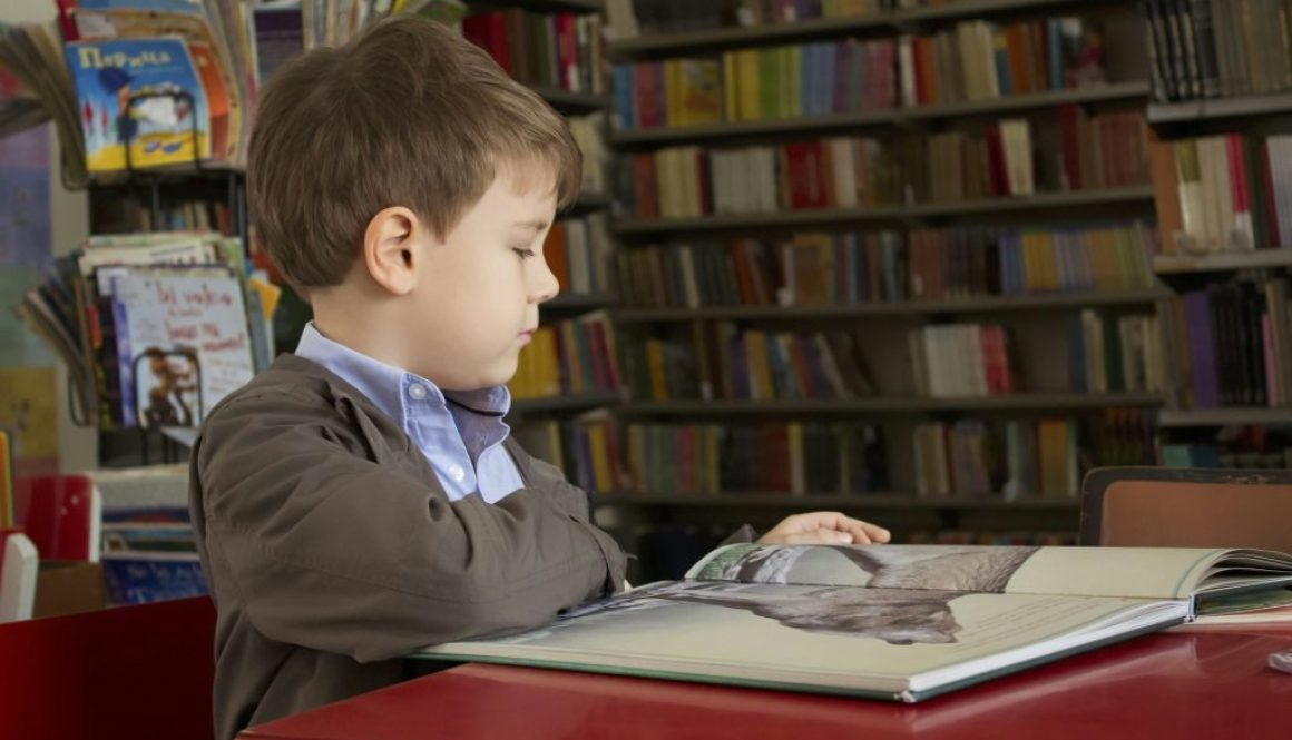 Colégio Pequenos Criadores